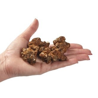 Psilocybe mexicana