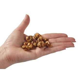 Psilocybe pajaritos