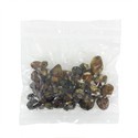 Psilocybe pajaritos