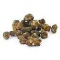 Psilocybe pajaritos