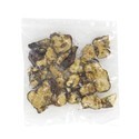 Psilocybe hollandia