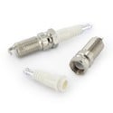 Stash Spark Plug