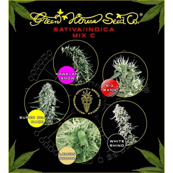 indica rice,indica sativa/indica mix c (greenhouse seeds) feminized