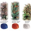 Colour Mix 4 (Dutch Passion) feminized