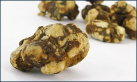 Magic Truffles Magic Truffles