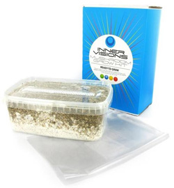 Magic Mushroom Grow Kit Magic Mushroom Grow Kit
