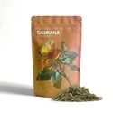 Damiana | Turnera afrodisiaca