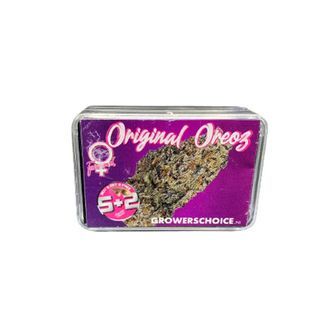 Original Oz (Growers Choice) feminized