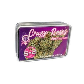 Crazy Roses Fast Version (Growers Choice) feminized