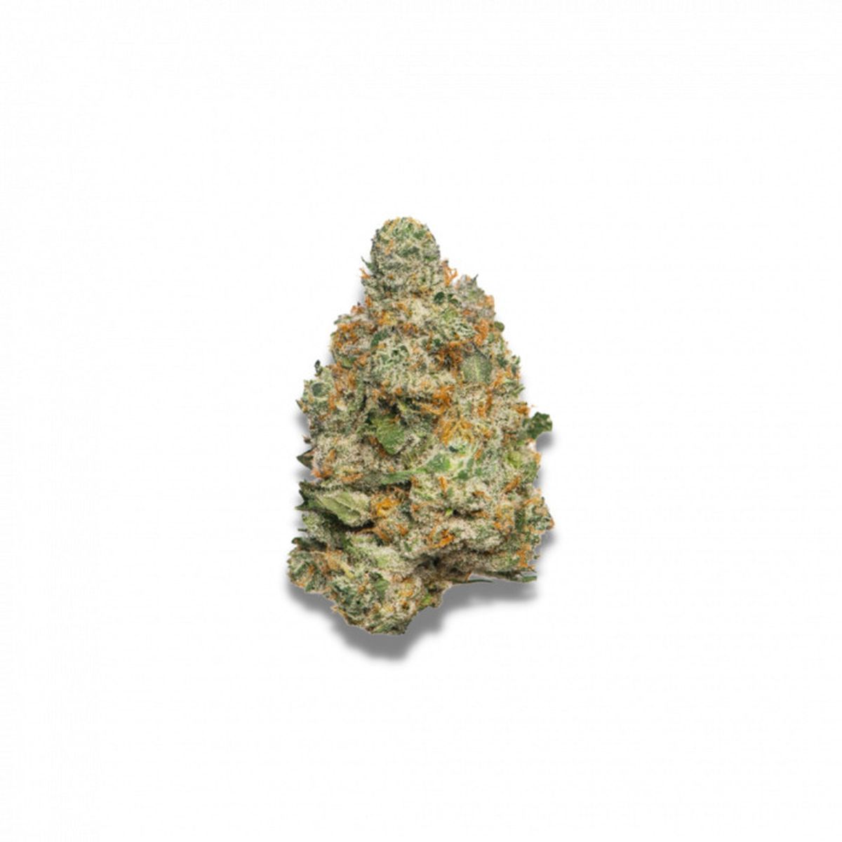 Apple Fritter Autoflower | Growers Choice - Zamnesia Apple Fritter Autoflower | Growers Choice - Zamnesia