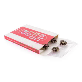 Productivity Microdosing Pack