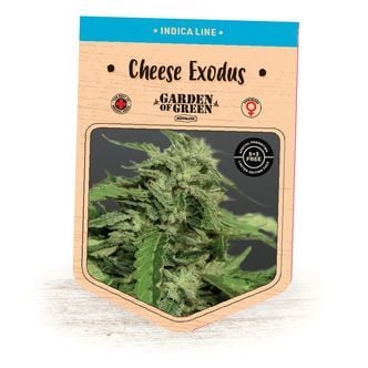 Cheese Exodus (Garden of Green) feminized