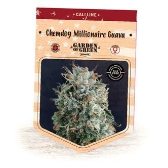 Chemdog Millionaire Guava (Garden of Green) feminized