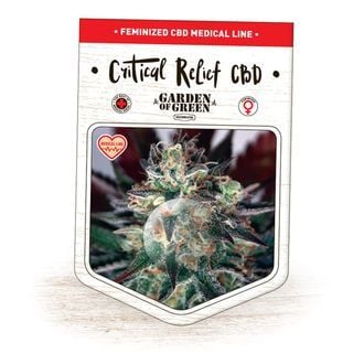 Critical Relief CBD (Garden of Green) feminisiert