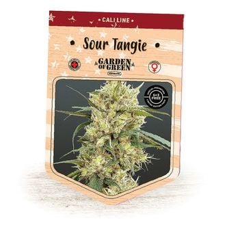 Sour Tangie (Garden of Green) feminisiert