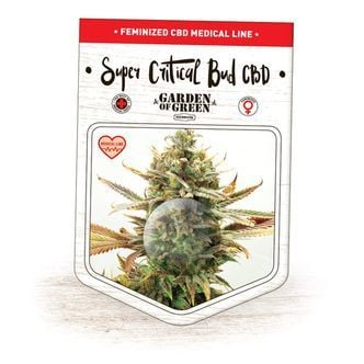 Super Critical Bud CBD (Garden of Green) feminisiert