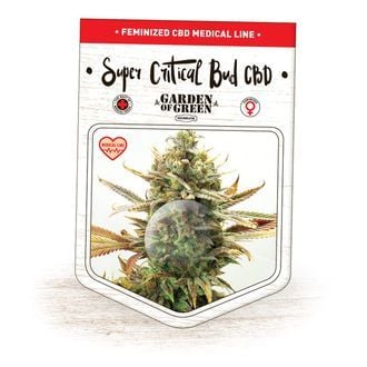 Super Critical Bud CBD (Garden of Green) feminized