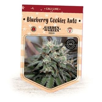 Blueberry Cookies Auto (Garden of Green) feminisiert