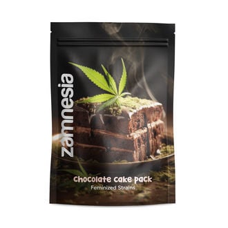 Chocolate Cake Pack - feminisierte Sorten