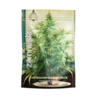 Coffeeshop Classics Pack - Feminized Strains