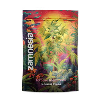 Terpene Dream Pack - feminisierte Sorten