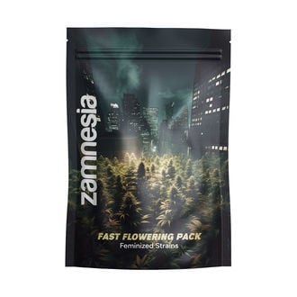 Fast Flowering Pack - feminisierte Sorten