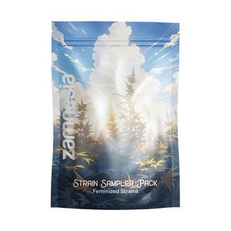 Strain Sampler Pack - Feminisierte Sorten