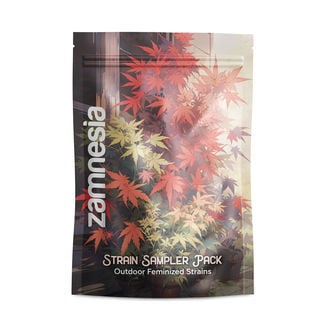 Strain Sampler Pack - Outdoor feminisierte Sorten