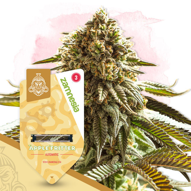 Fruity Pack - Autoflower Cannabis Seeds