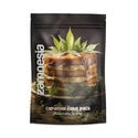 Caramal Cake Pack - Autoflowering Sorten