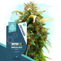 Legendary Pack - Automatic Strains