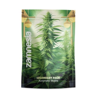 Legendary Pack - autoflowering Sorten