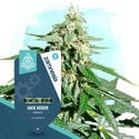 Coffeeshop Classics Pack - Autoflowering Sorten