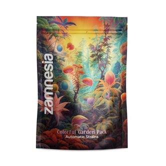 Colourful Garden Pack – Autoflower-Sorten