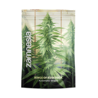 Kings of Kush Pack - Autoflowering Sorten