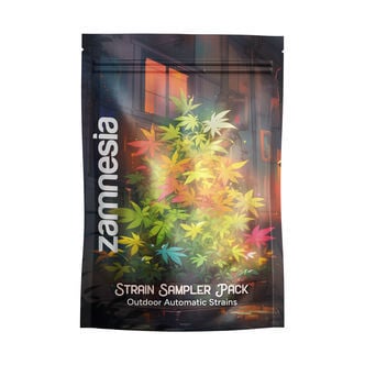 Strain Sampler Pack - Outdoor autoflowering