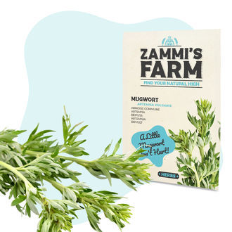 Wellness Samenpackung – Zammi's Farm