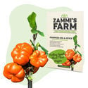 Exotische Samenpackung – Zammi's Farm