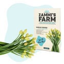 Exotische Samenpackung – Zammi's Farm