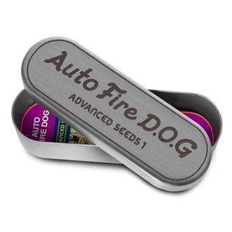 Auto Fire DOG (Advanced Seeds) feminized