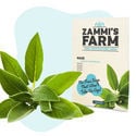 BBQ-Kräuter-Samenpackung – Zammi's Farm