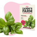 BBQ Herbs Seed Pack - Zammi's Farm