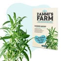 Teekräuter-Samenpackung – Zammi's Farm