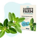 Teekräuter-Samenpackung – Zammi's Farm