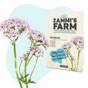 Teekräuter-Samenpackung – Zammi's Farm