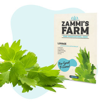 Kitchen Herbs Seed Pack - Zammi's Farm