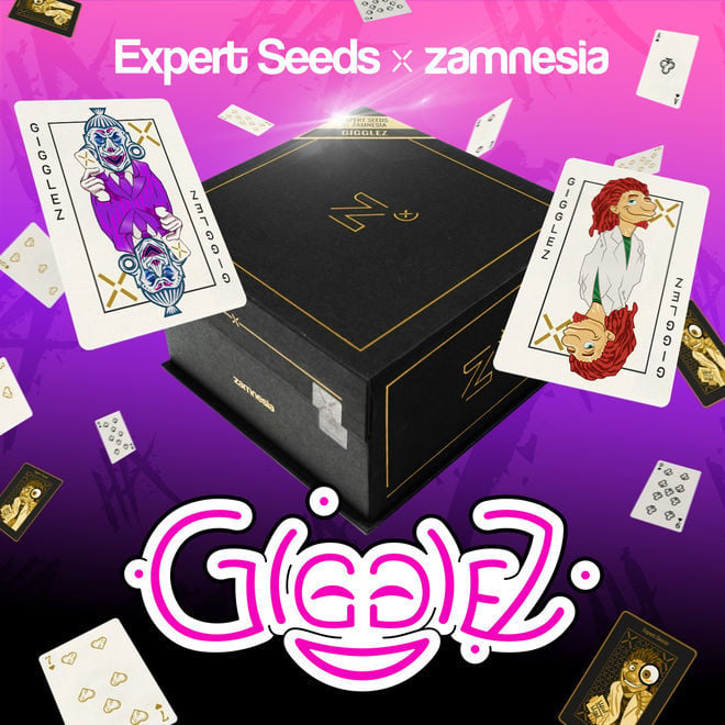 Gigglez | Expert Seeds x Zamnesia