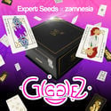 Gigglez (Expert Seeds x Zamnesia) feminisiert