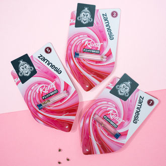 Runtz F1 Autoflower (Zamnesia Seeds) feminized