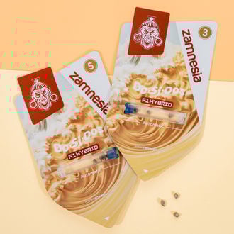 Do-Si-Dos F1 Autoflower (Zamnesia Seeds) feminized